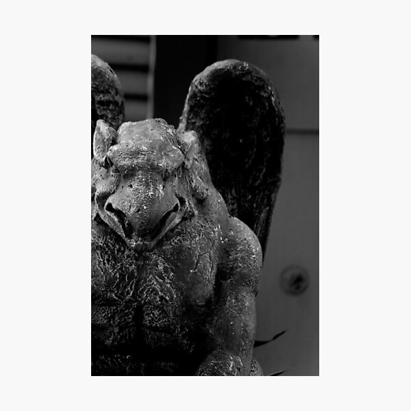 Aperçu de l'œuvre Gargoyle, Galveston créée et vendue par Amy Matsumoto.