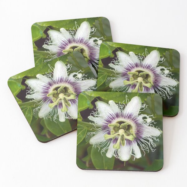 Item preview, Black Passionfruit (Passiflora edulis) flower. designed and sold by Connie Pinson.