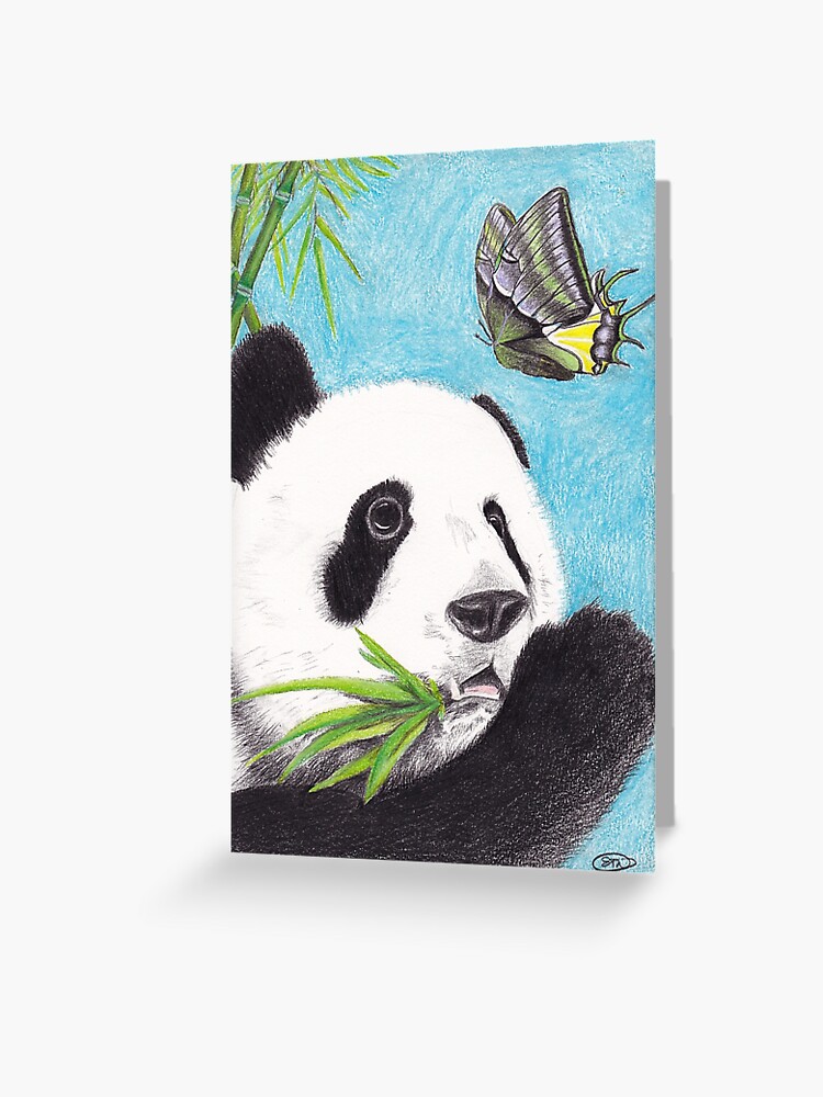 Panda and Butterfly