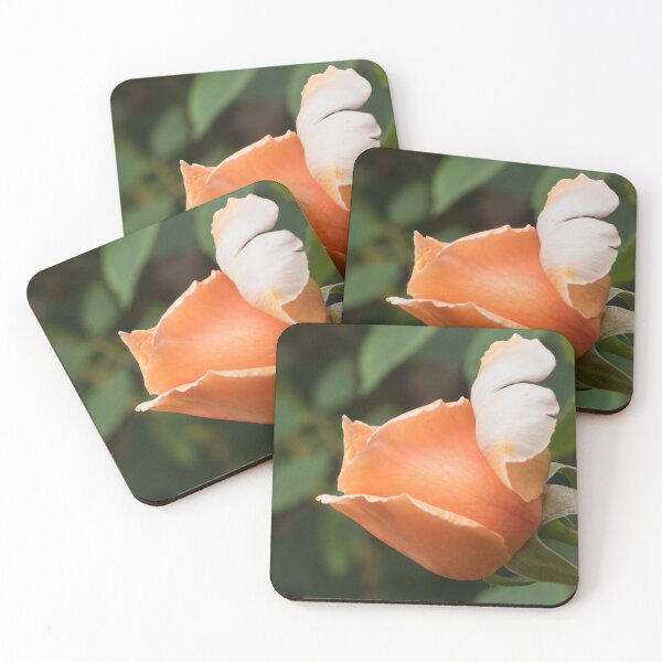 Item preview, Single apricot coloured rose flower bud (Just Joey variety) designed and sold by Connie Pinson.