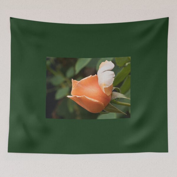 Item preview, Single apricot coloured rose flower bud (Just Joey variety) designed and sold by Connie Pinson.