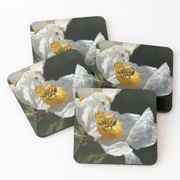 Item preview, Matilija Poppy designed and sold by Tdcc2000.