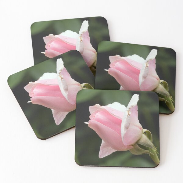 Item preview, Pink Rose bud (Mothers Love Variety) designed and sold by Connie Pinson.