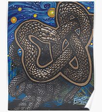 Celtic Serpent Poster
