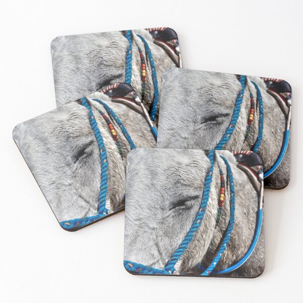 Item preview, Photograph of donkey with blue bridle, Santorini Greek Islands designed and sold by Travelling Homebody.