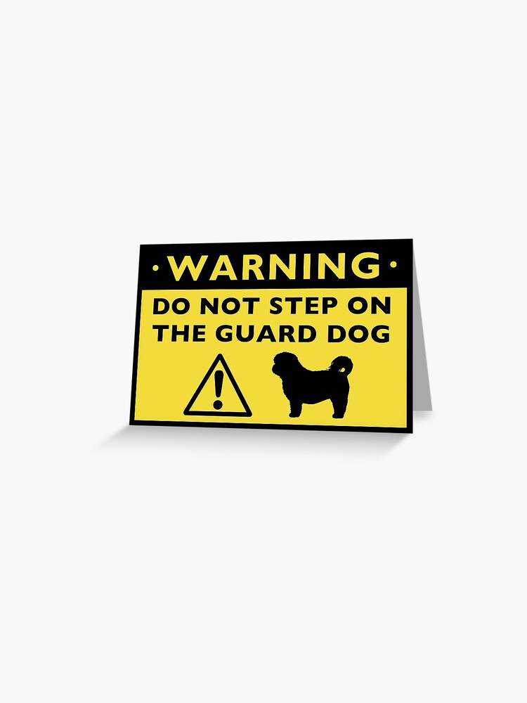 shih tzu guard dog