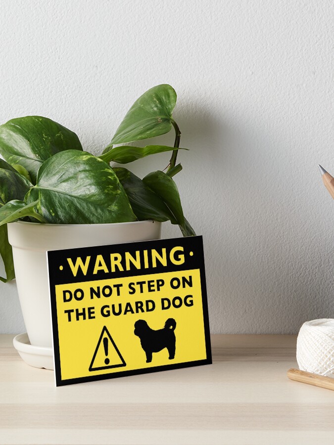 shih tzu guard dog