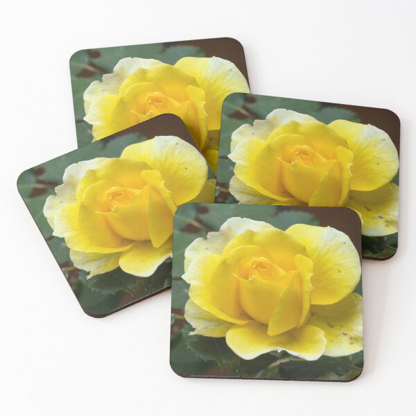 Item preview, Yellow Rose (Gold Bunny Variety) designed and sold by Connie Pinson.