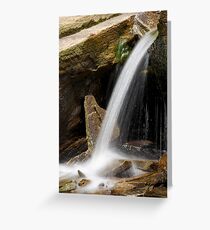 Nature's Spigot Greeting Card