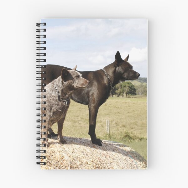 Item preview, The view designed and sold by Danielle Espin.