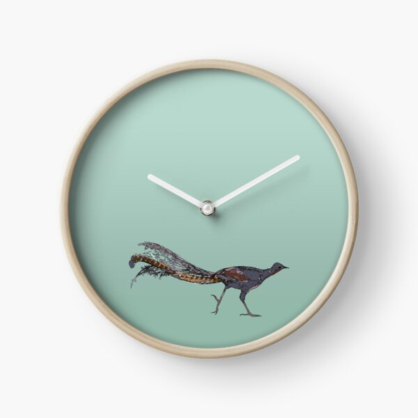 Superb Lyrebird (Menura novaehollandiae) on green Clock