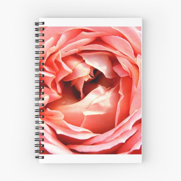 Item preview, rose designed and sold by KathleenDawson.