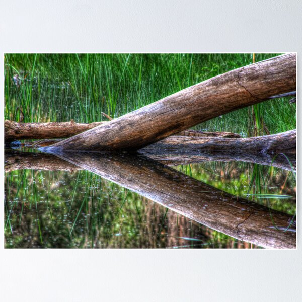 Item preview, Wood and Water designed and sold by Bob Larson.