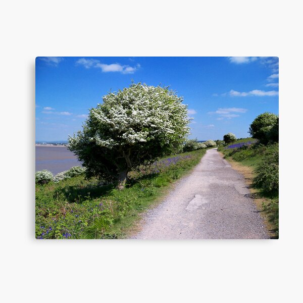 Item preview, Hawthorn Way designed and sold by hootonles.