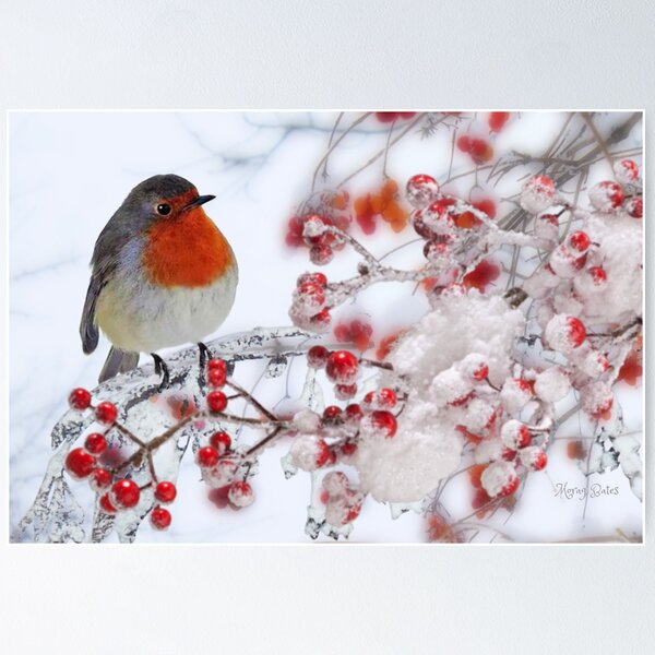 Item preview, Robin Red Breast in Winter designed and sold by MoragBates.