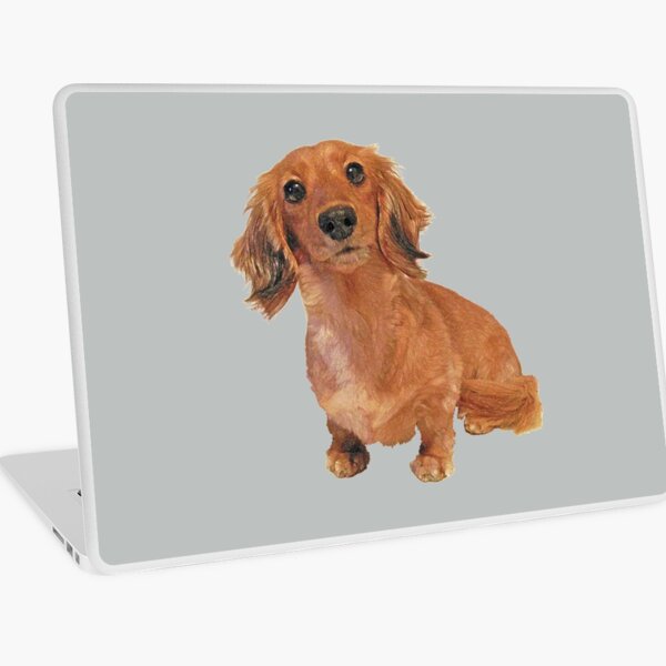 Dachshund items shop for sale