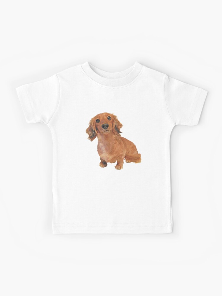 long haired dachshund t shirts