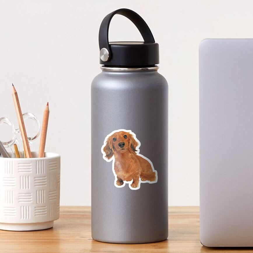 Cute Long Haired Dachshund Painting Sticker