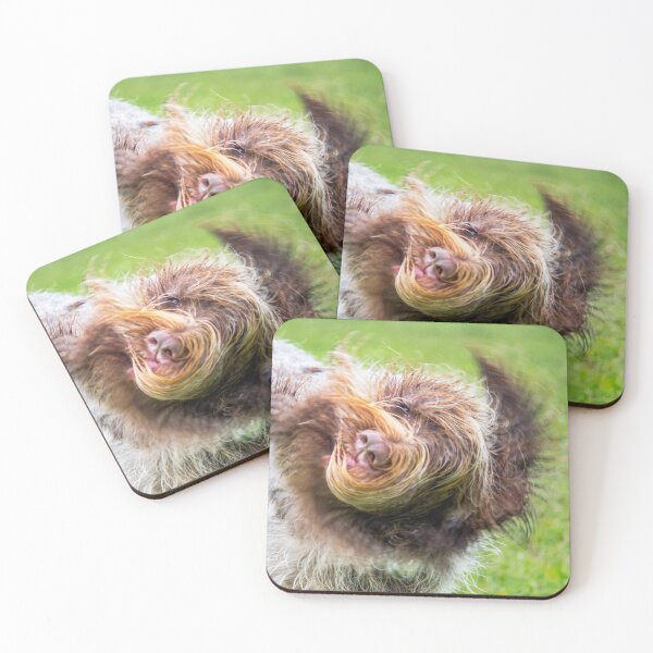 Item preview, Shake it out Spinone designed and sold by FOLK ART FUSION by heidiannemorris.
