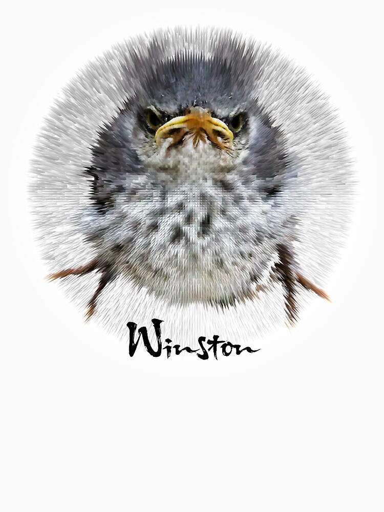 Thumbnail 7 of 7, Classic T-Shirt, Bristling Winston - the Original Angry Bird designed and sold by Warren Paul Harris.