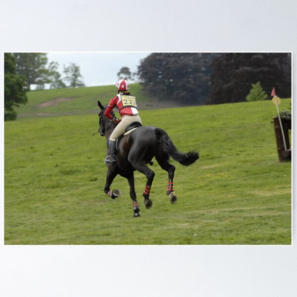 Item preview, 'Well done, on to the next one' Floors Castle Eventing May 2011 designed and sold by rosie320d.