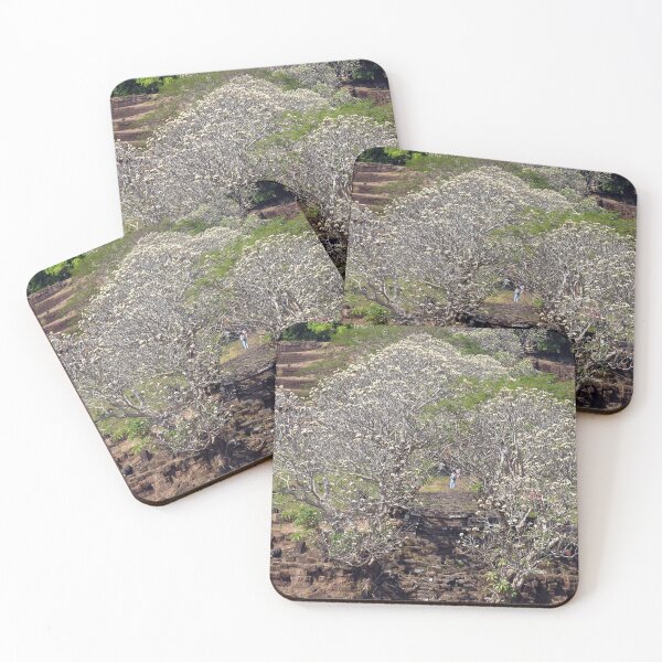 Item preview, Flowering Blooming Tree, Champasak, Khmer temple complex, Laos designed and sold by worldways.