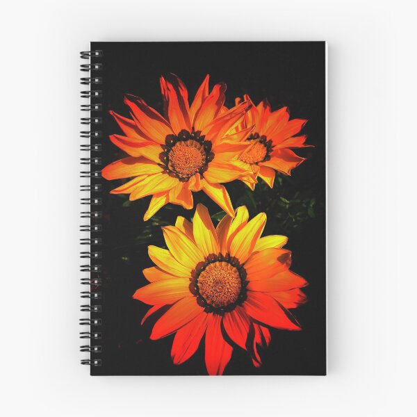 Item preview, Floral Bliss- African Daisy Treasure Flower designed and sold by Jdibvome.