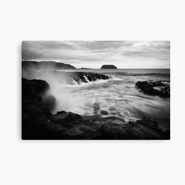 Bull in a China Shop Canvas Print
