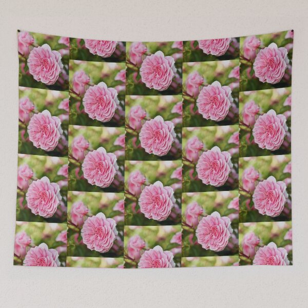 Item preview, Perfectly Pink 'Flinders' Rose designed and sold by imaginethis.