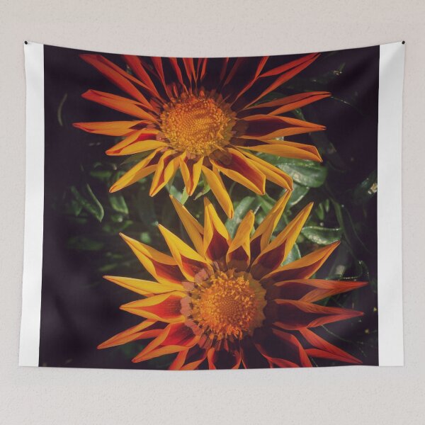 Item preview, Floral Bliss- African Daisy Treasure Flower designed and sold by Jdibvome.