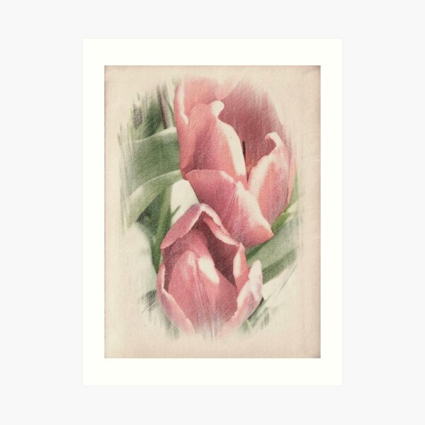 Beau de Fleur © Art Print