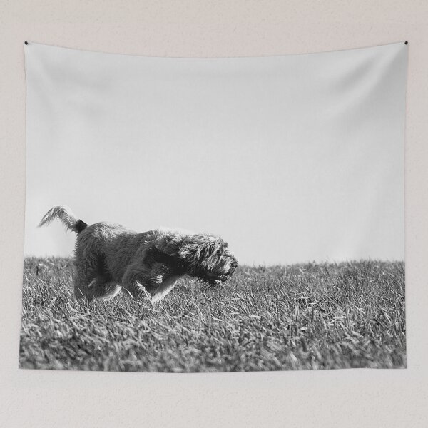 Item preview, Spinone on the scent of a thousands stories  designed and sold by FOLK ART FUSION by heidiannemorris.