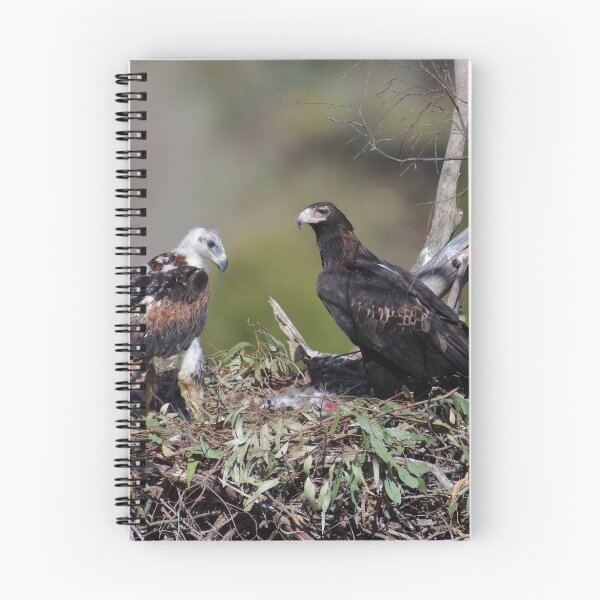 Item preview, Wedge tailed Eagle  designed and sold by Donovan Wilson.