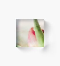 "pastell dreams with tulips" Part2 Acrylic Block