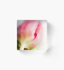 "pastell dreams with tulips" Part1 Acrylic Block