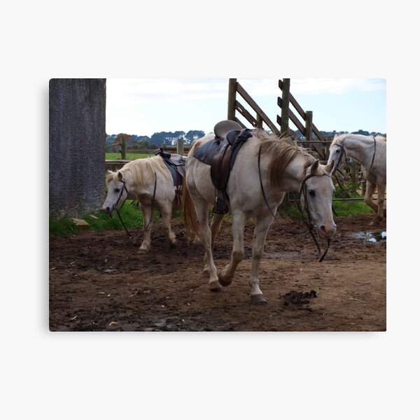 all saddled up with somewhere to go Canvas Print
