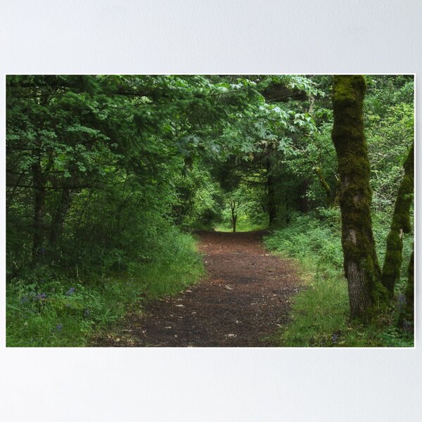 Item preview, A walk in the woods designed and sold by kay135.