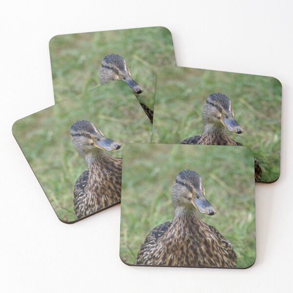 Item preview, Ready for my close-up  by Elisabeth and Barry King™ designed and sold by BE2gether.