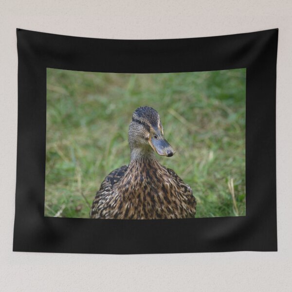 Item preview, Ready for my close-up  by Elisabeth and Barry King™ designed and sold by BE2gether.