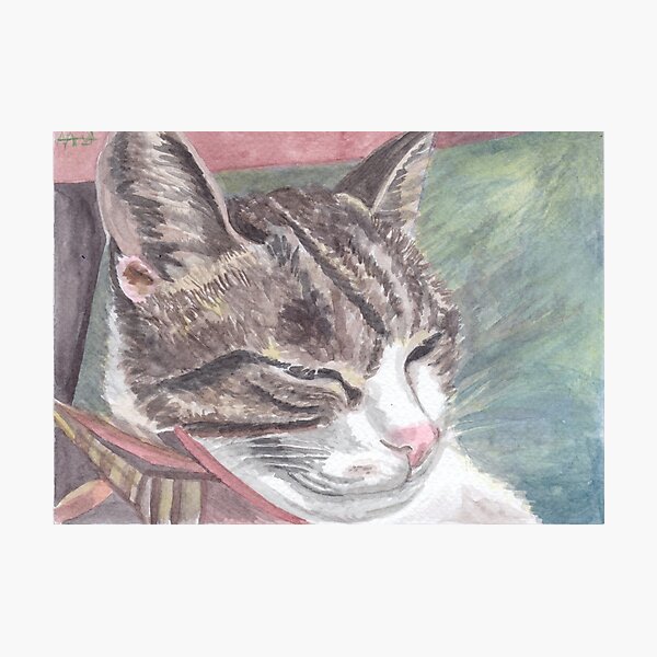 Maxfacto sleeping Photographic Print