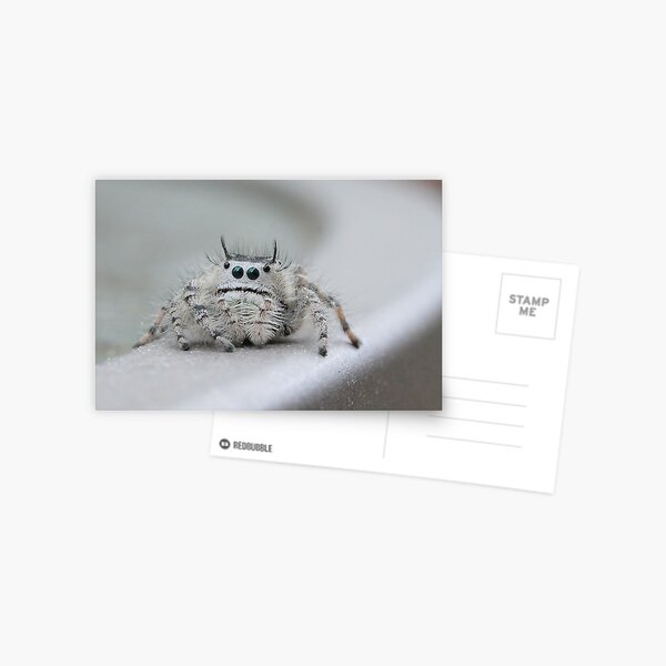 Item preview, I am watching you! designed and sold by Sheryl Hopkins.