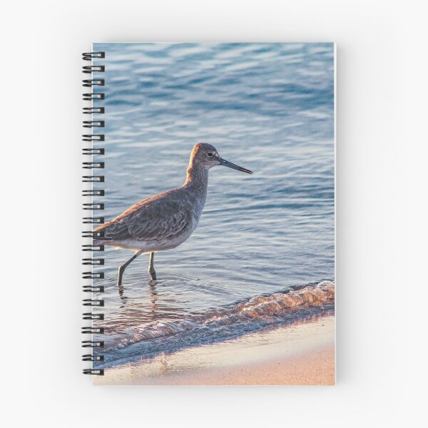 Item preview, Amelia Sandpiper designed and sold by Bob Hardy.