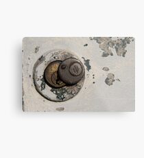 2 CORBIN Metal Print