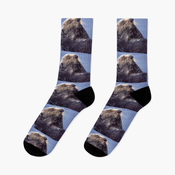Item preview, A Southern Sea Otter, preening as it wakes from a nap. designed and sold by LivingSeaimages.