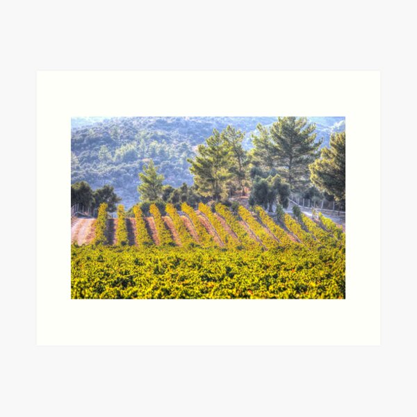 Item preview, Summer Vineyard designed and sold by Londonimages.