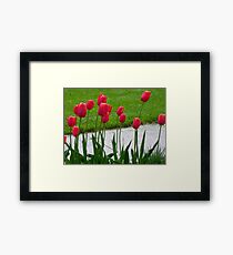 RED TALL TULIPS Framed Print