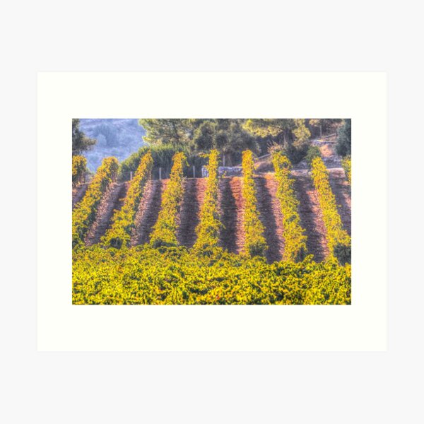 Item preview, Summer Vineyard designed and sold by Londonimages.