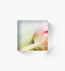 "pastell dreams with tulips" Part4 Acrylic Block
