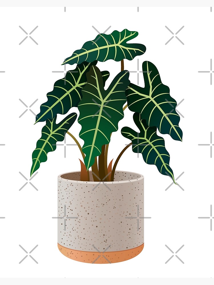 Would it be okay to use plant Velcro my Elephant Ear to stop the