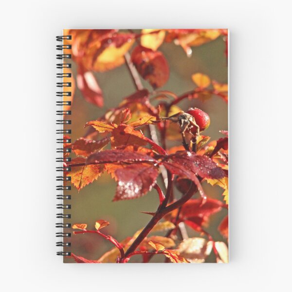 Item preview, Autumn Wild Rose Hips designed and sold by Debbie Oppermann.